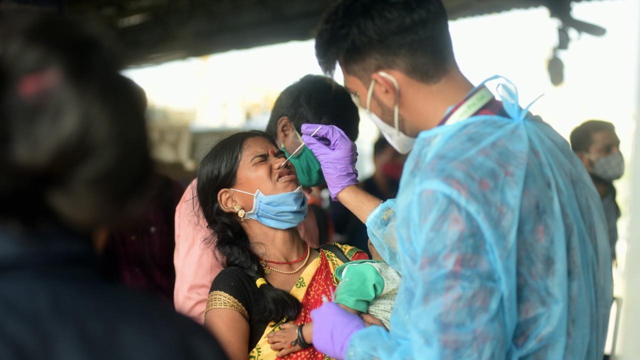 Number of daily cases in Mumbai saw a drop on Monday. Numbers released by the BMC showed that 5,746 people were discharged during the day in the city and 54,143 patients are still under treatment for COVID-19 infections.
In picture: A health worker takes a nasal swab of passengers arriving at Lokmanya Tilak Terminus (LTT) in Kurla. Photo: Atul Kamble