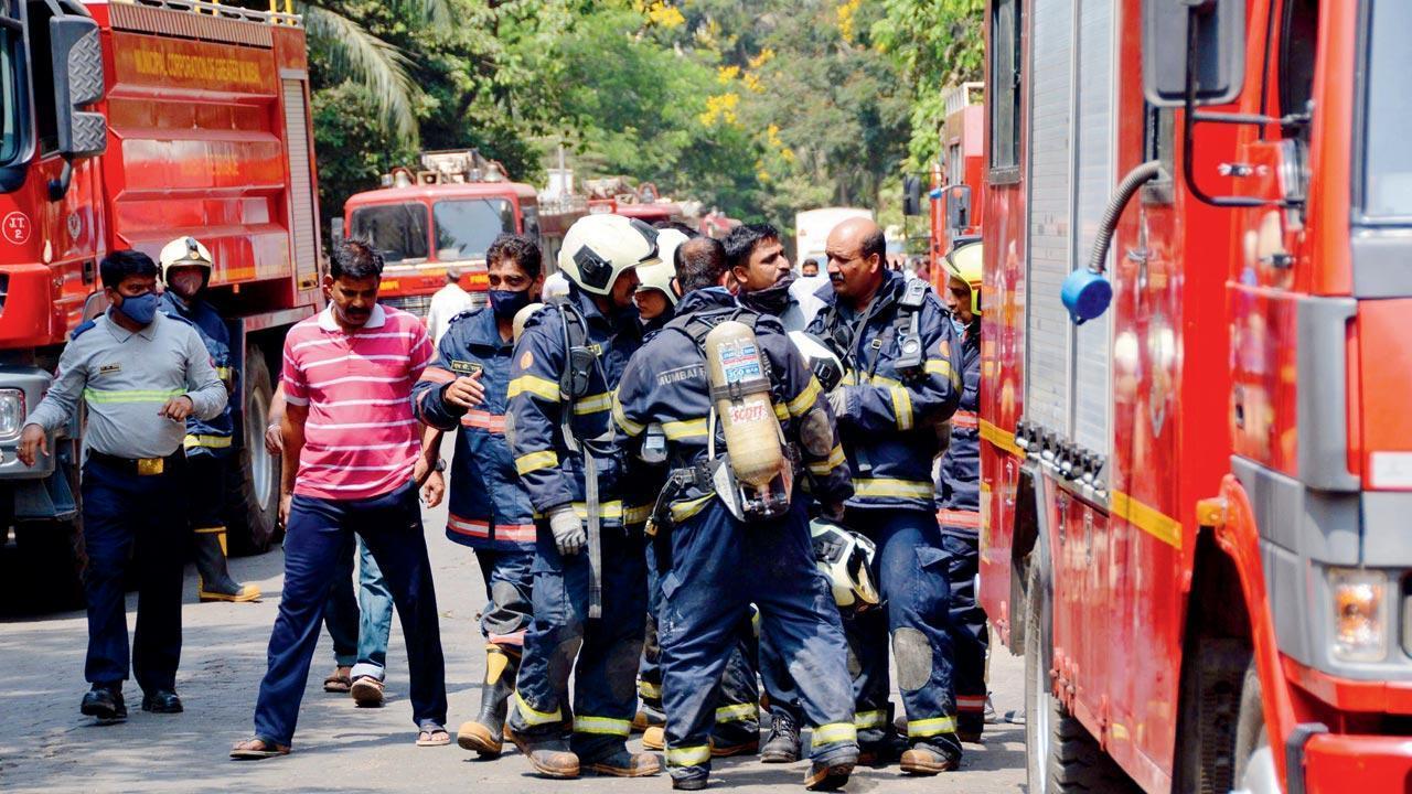 Mumbai: Fire at paintbrush factory in Bhiwandi; no casualties reported