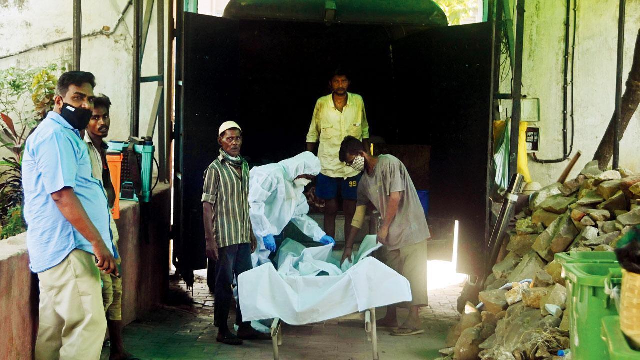 Look for modern ways to check pollution at crematoriums: Bombay High Court