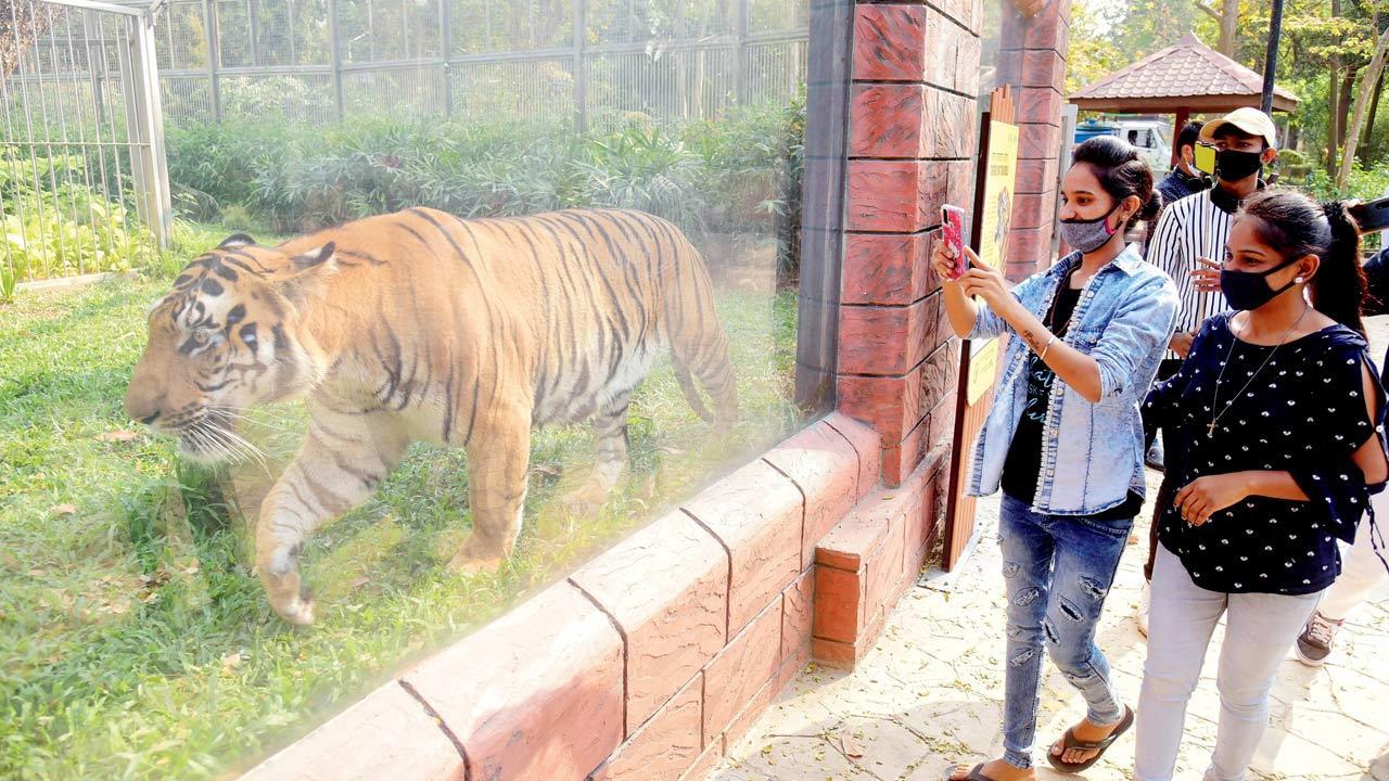 Mumbai: All animals at Byculla zoo are doing well, says administration