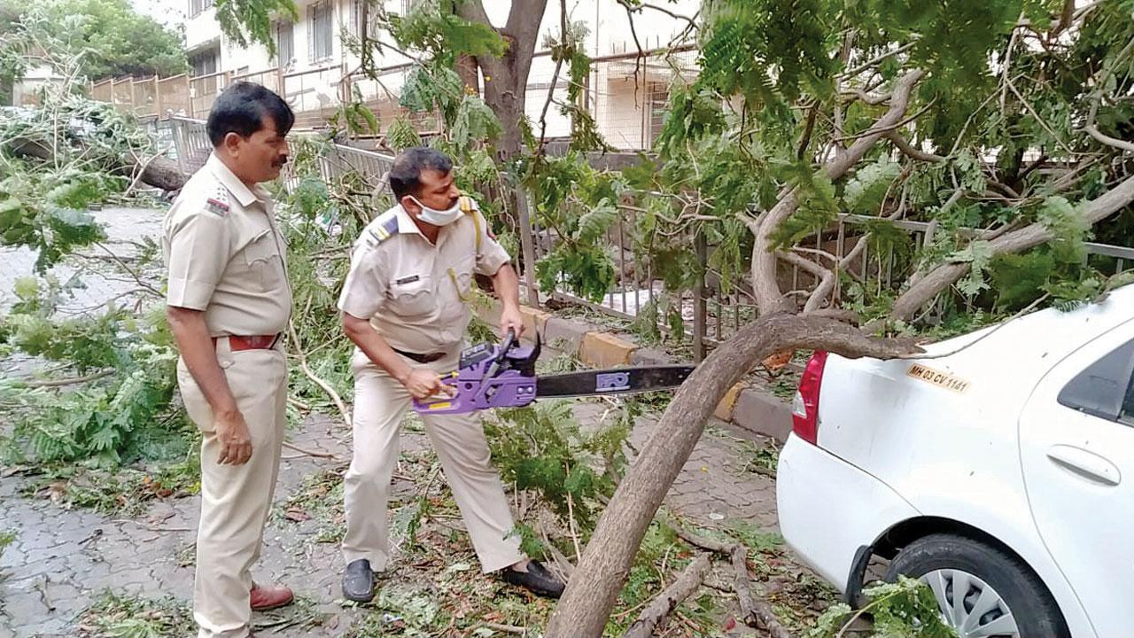 Cyclone Tauktae: Armed with chain saws, Mumbai cops pitch in to clear trees