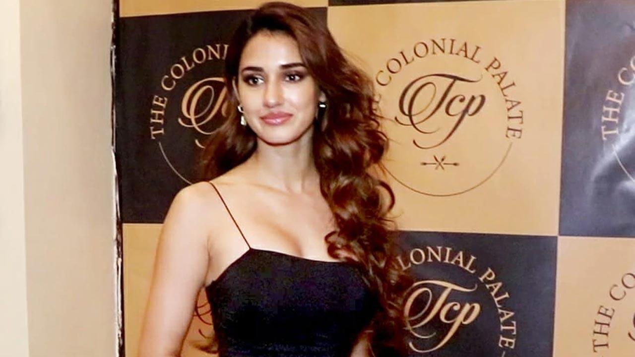 View post: Disha Patani channels her love for cats, shares adorable pictures