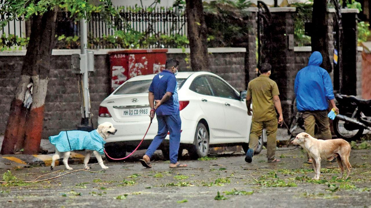 Mumbai Diary: Tuesday Dossier
