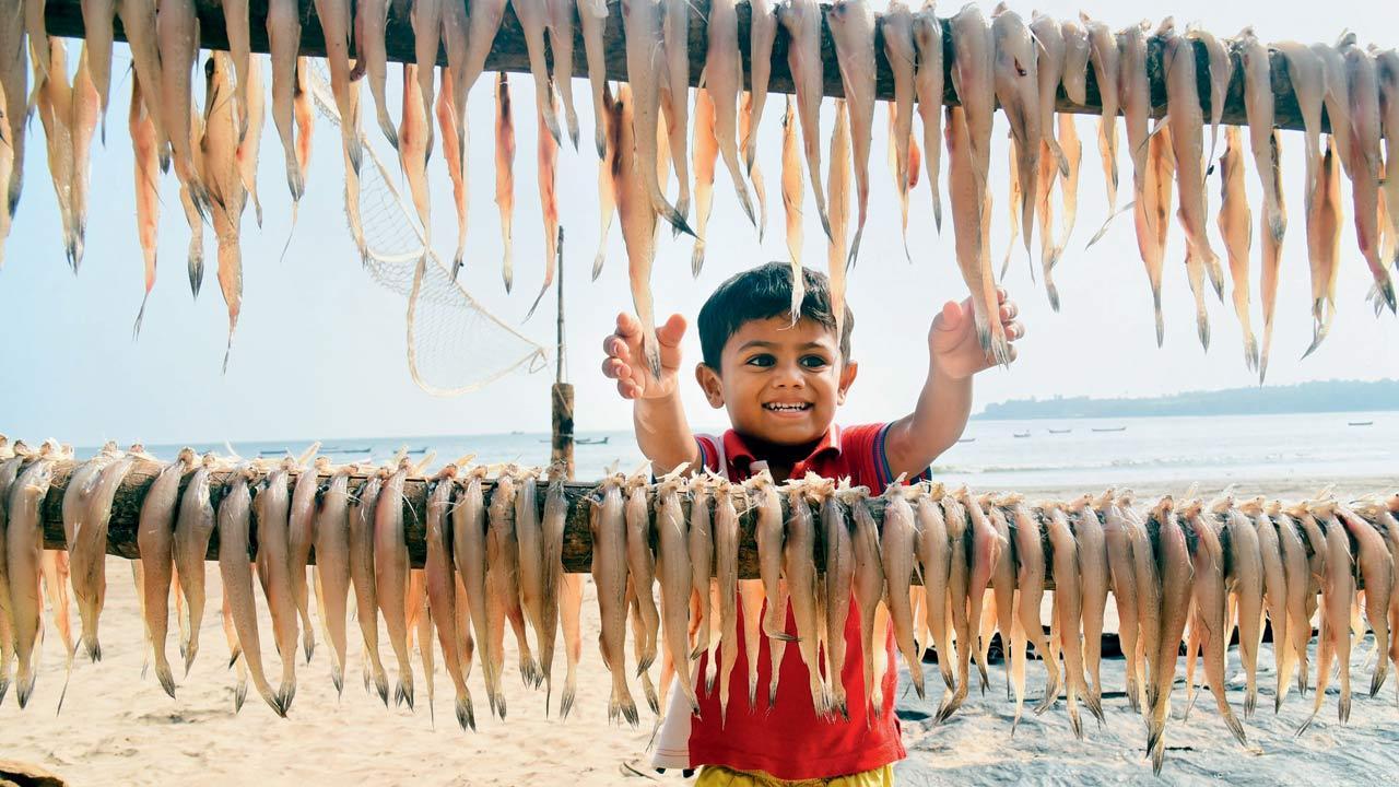 Mumbai Diary: Friday Dossier