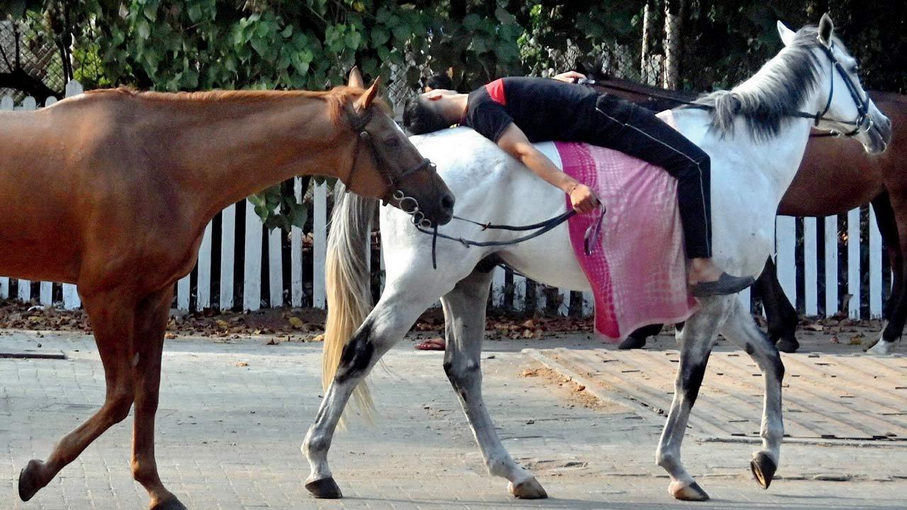 Mumbai Diary: Wednesday Dossier