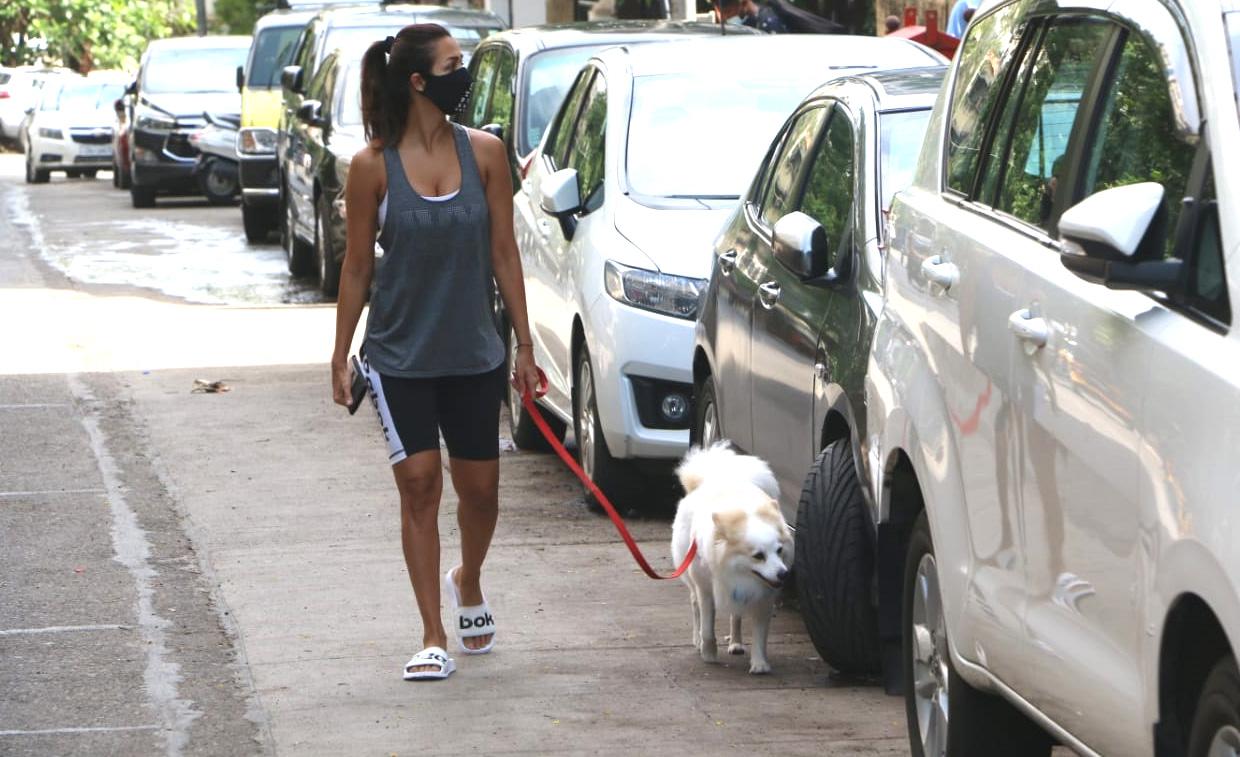 Malaika Arora is known to be a stickler for fitness and her Instagram posts second that. Her latest post for fans combines her fondness for fitness and her hope to see a better tomorrow. Given the kind of times we are stuck in, her post comes as a glimmer of positivity. Malaika Arora is known to be a stickler for fitness and her Instagram posts second that. Her latest post for fans combines her fondness for fitness and her hope to see a better tomorrow. Given the kind of times we are stuck in, her post comes as a glimmer of positivity.