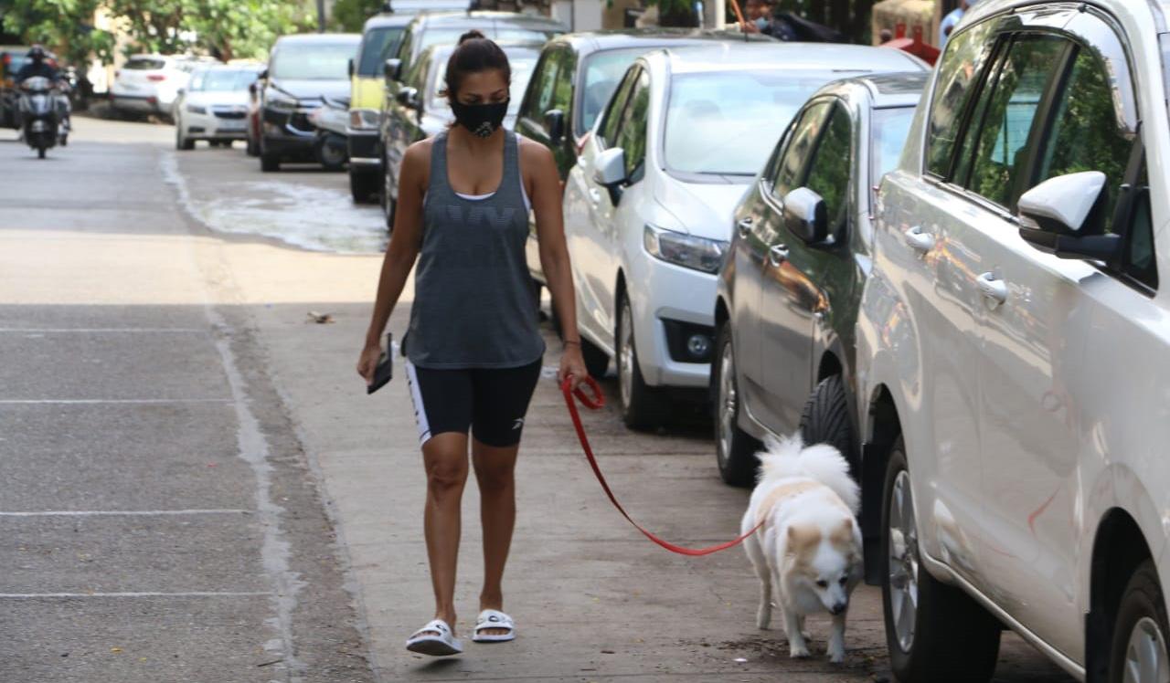 Malaika Arora dressed in a grey tank top and black gym shorts was clicked near her home in Bandra. The fitness diva was out for a walk with her pet Casper. Malaika Arora dressed in a grey tank top and black gym shorts was clicked near her home in Bandra. The fitness diva was out for a walk with her pet Casper.