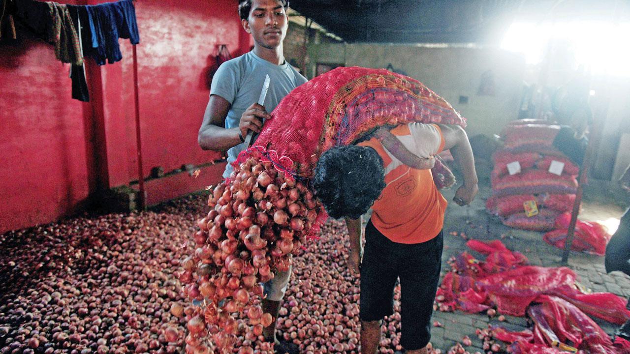 WPI inflation hits 11-year high in April; to jump further in May
