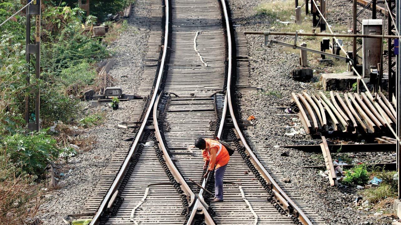 Mumbai: Railway tracks between Dadar and Parel to get garden