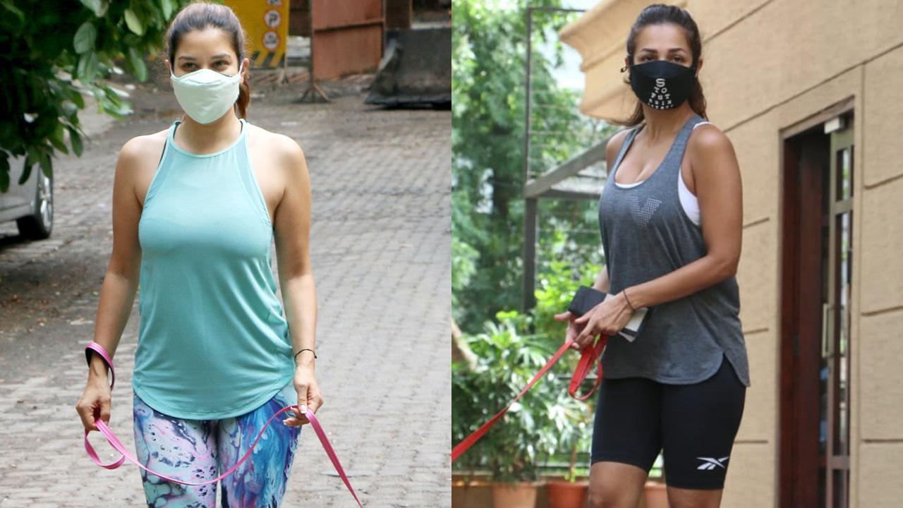 Malaika Arora and Sophie Choudry out for a walk with their pets