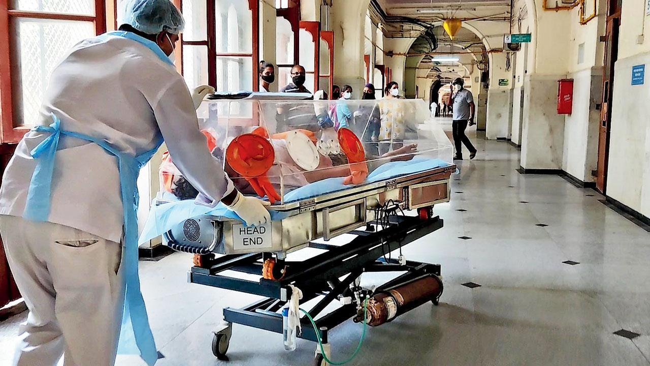 Mumbai: New stretcher at JJ Hospital enables contactless movement of patients