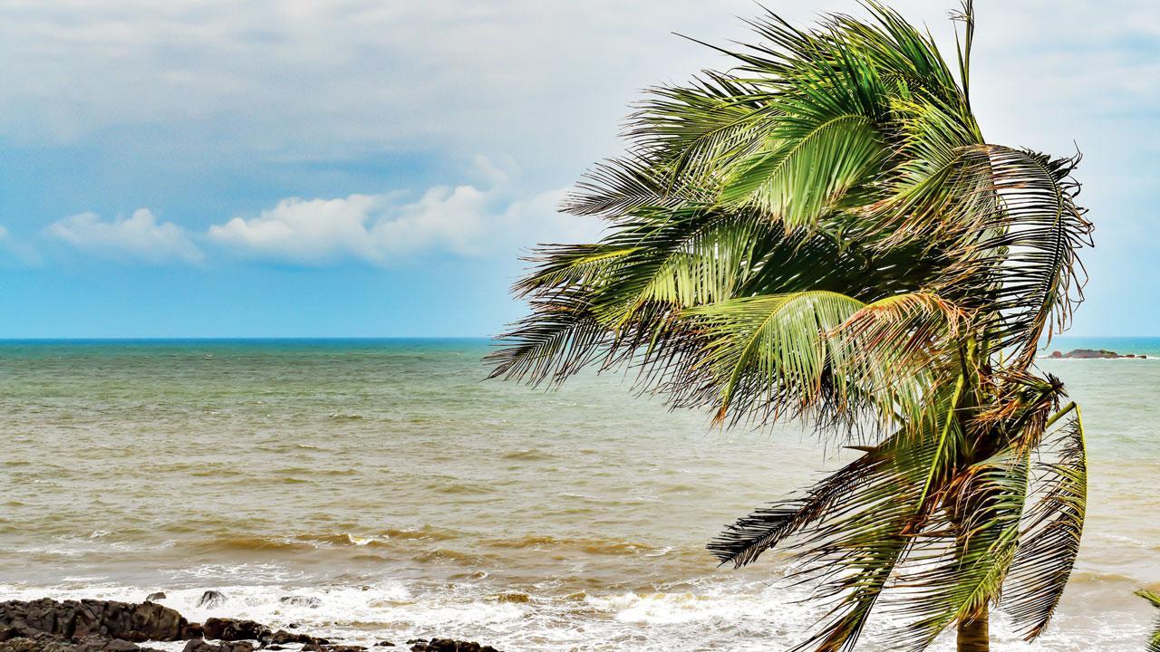 Mumbai: Brace for a wet Sunday, courtesy cyclone Tauktae