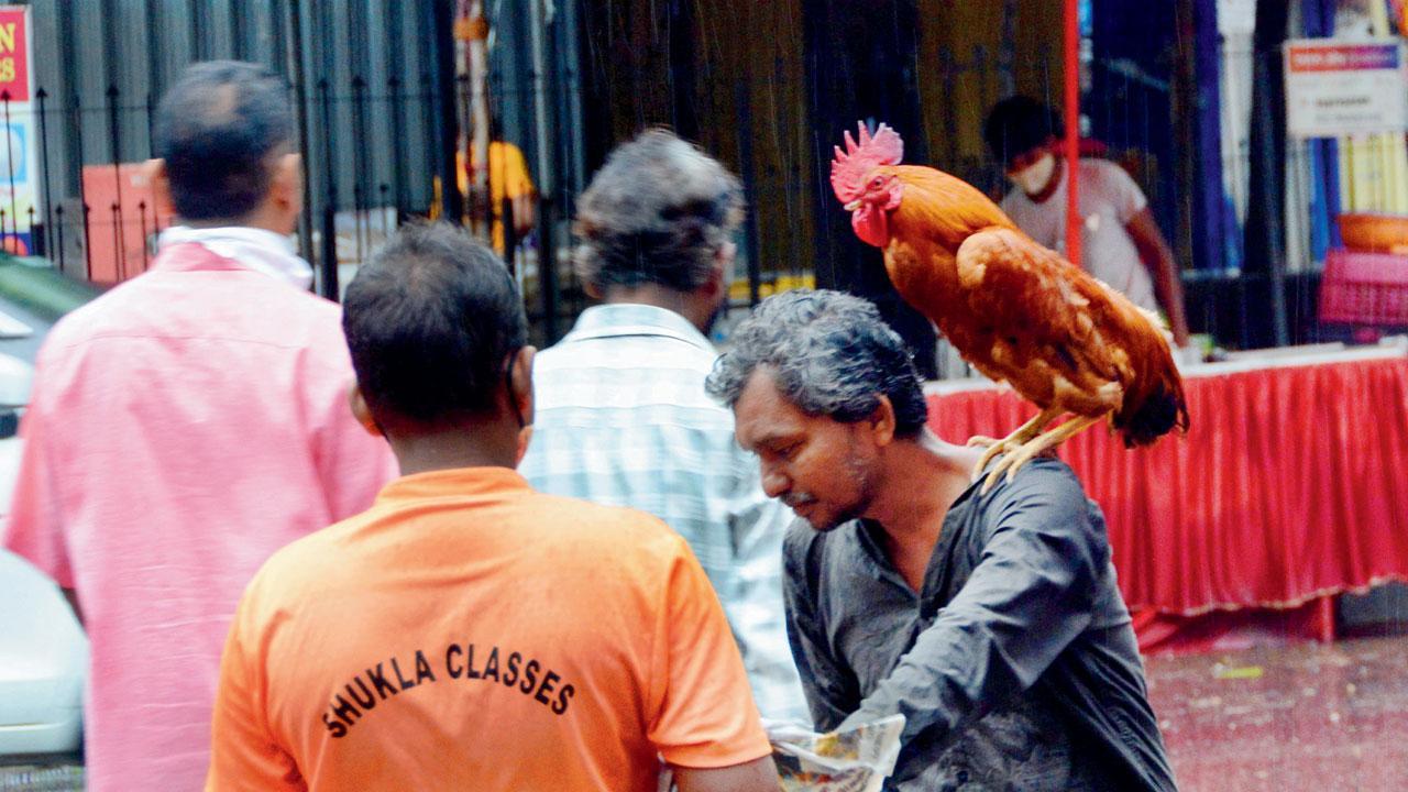 Mumbai Diary: Wednesday Dossier