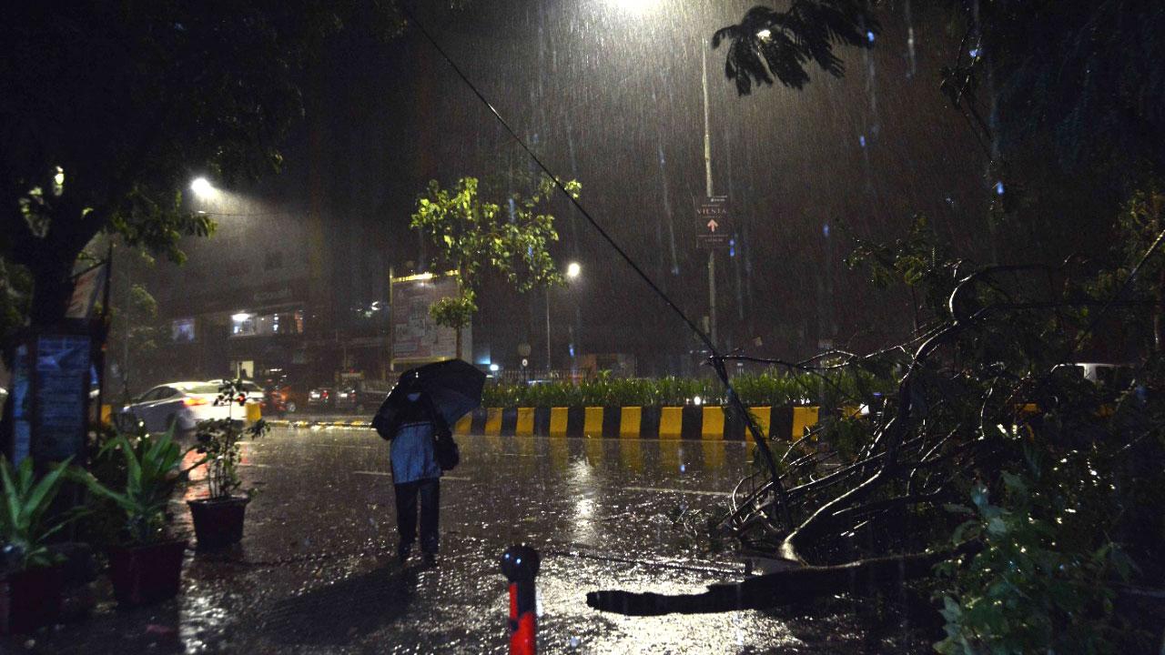 The BMC received 4,848 distress calls during the day. Seven people were injured Mumbai, while three people are missing at sea, said authorities.
In picture: A tree collapse incident at Kandivli on Monday evening. Photo: Satej Shinde