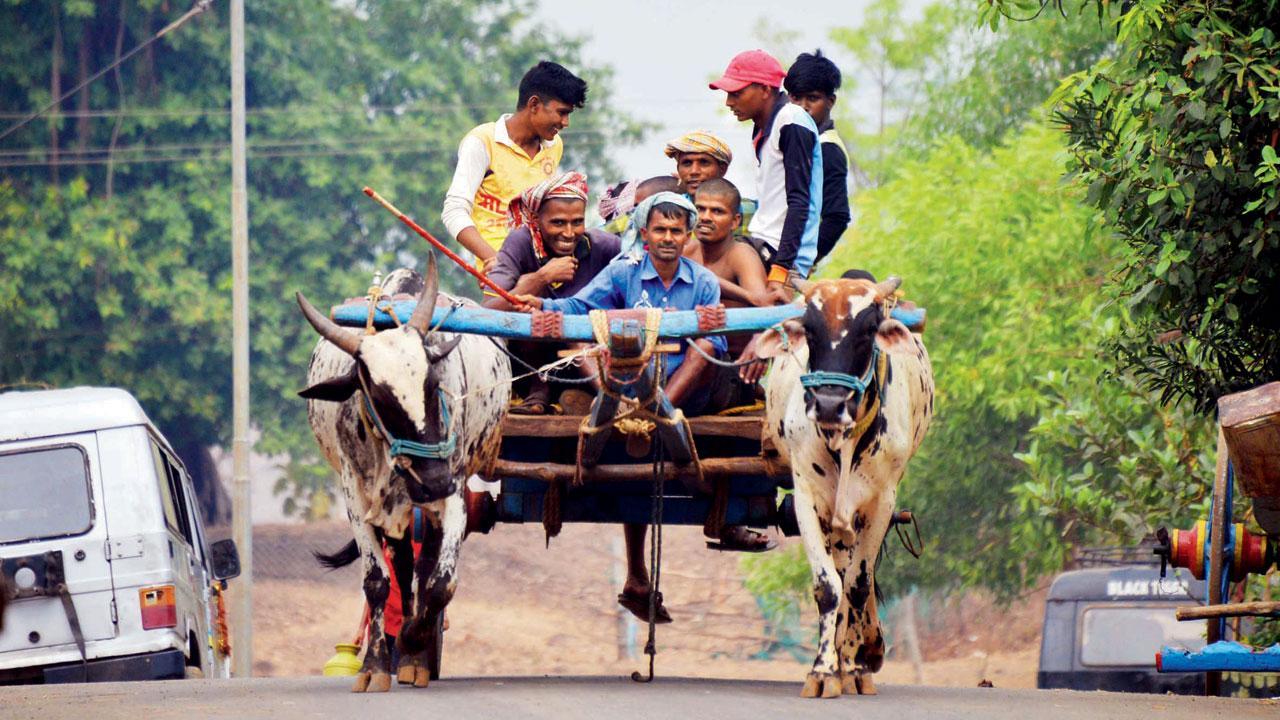 Palghar: 866 containment zones on paper, but life goes on