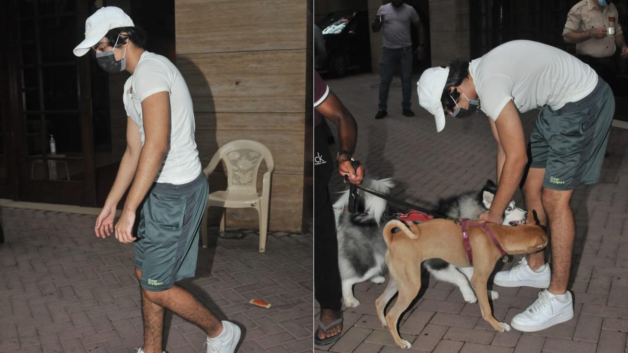 Malaika Arora's son, Arhaan Khan was clicked right below his residential building in Bandra, Mumbai. A pet-friendly that he is, Arhaan was seen playing with two pet dogs, presumably who live in his vicinity.
