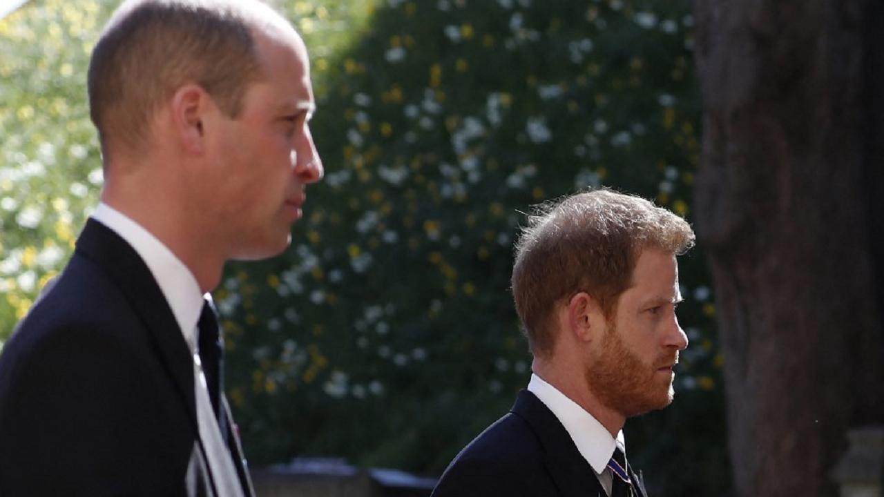 Prince William, Harry condemn BBC ‘deceit’ over Diana interview