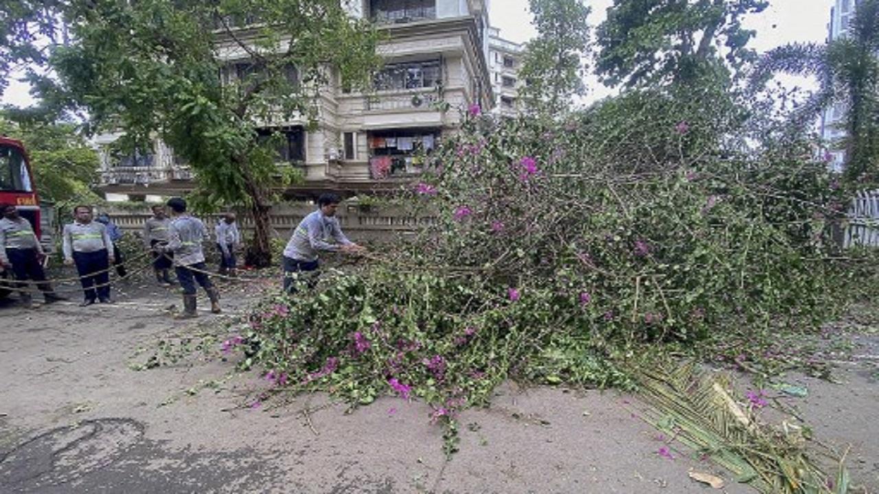 19 dead due to cyclone Tauktae in Maharashtra