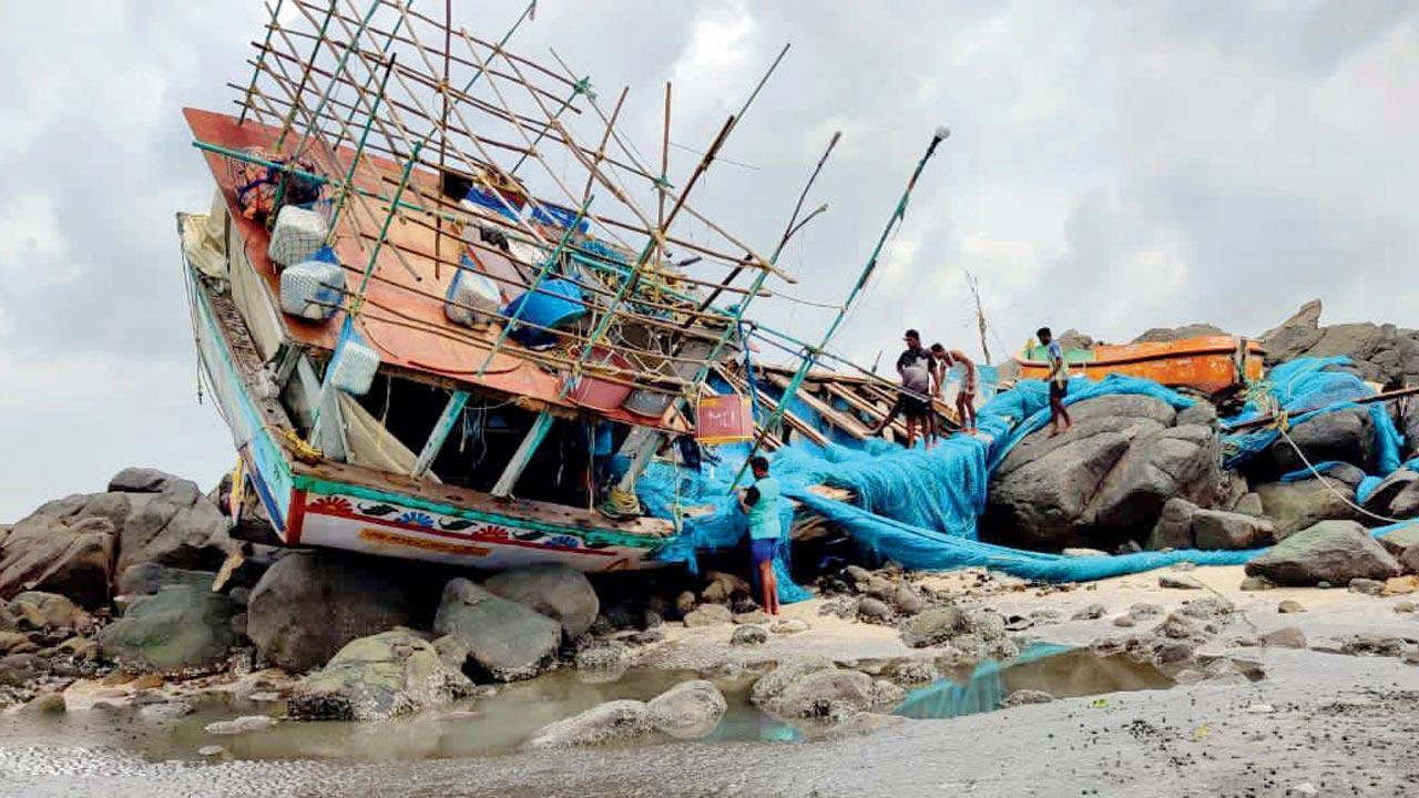 Cyclone Tauktae: Palghar MP says will take up compensation issue with Centre, Maharashtra govt