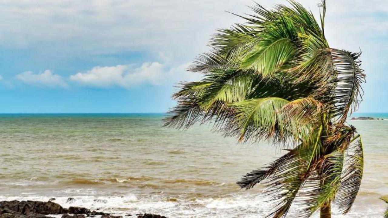 Cyclone Tauktae: Districts on Maharashtra's Konkan coast asked to review preparedness