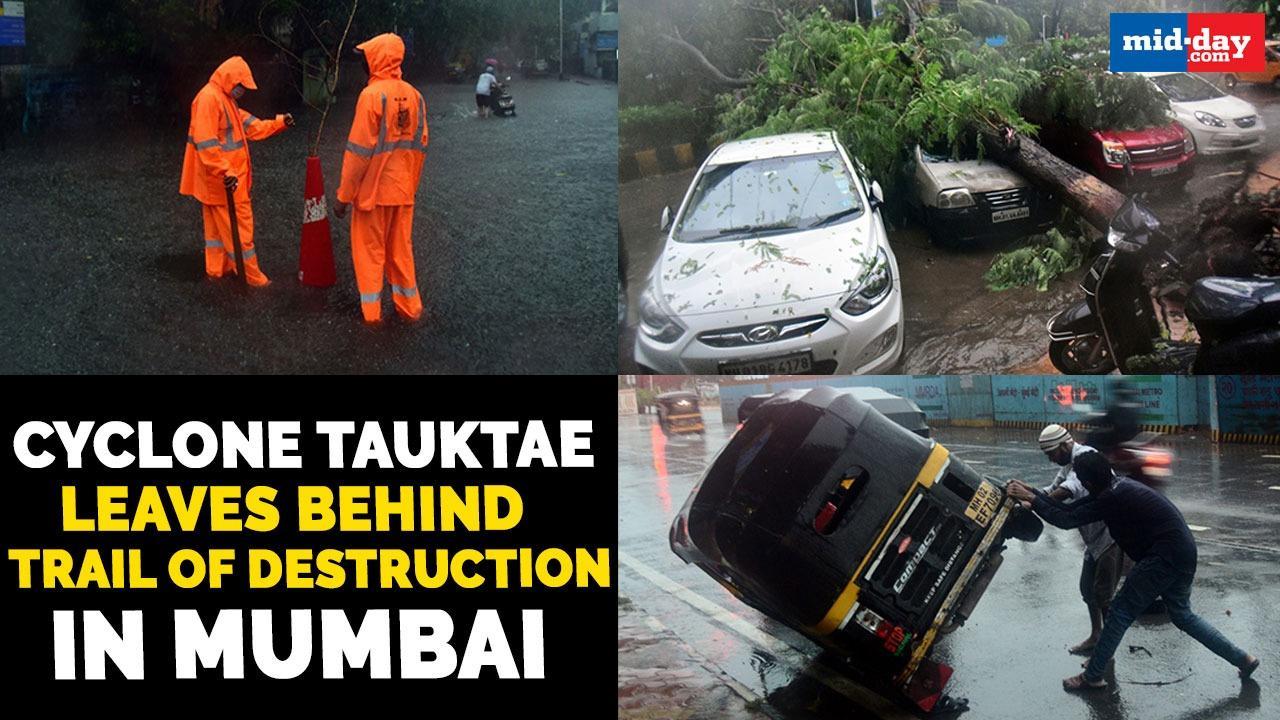 Cyclone Tauktae leaves behind a trail of destruction in Mumbai