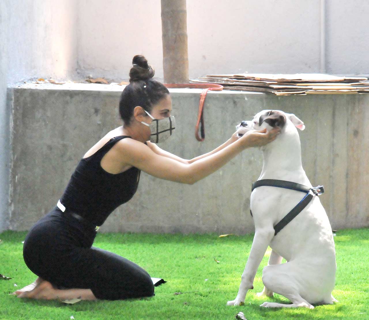 Fatima Sana Shaikh was clicked playing with a pet at a clinic in Mumbai. The actress stepped out in a pretty black outfit. Chic, isn't it? All pictures/Yogen Shah
