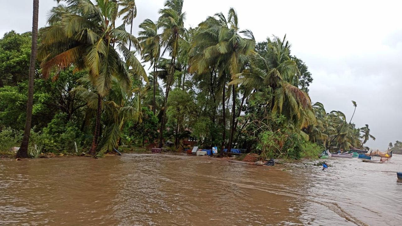 Cyclone Tauktae hit Goa on Sunday resulting in heavy rains and gusty winds that led to tree fall and resulted in power outage in many places in the state
Photo | Pallav Paliwal