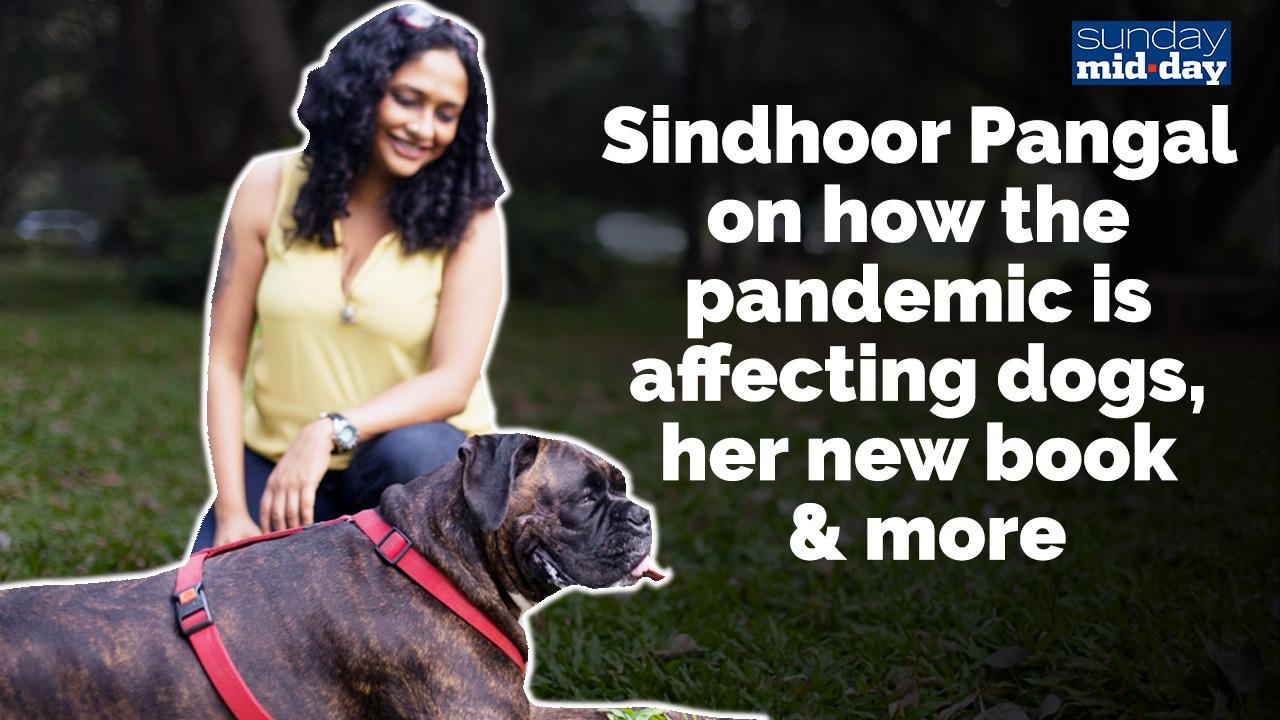 Sindhoor Pangal on how the pandemic is affecting dogs, her new book