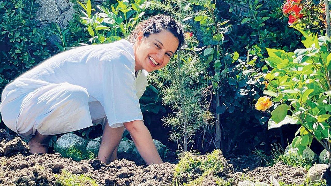 Kangana Ranaut requests BMC and Gujarat government to plant trees in Tauktae aftermath