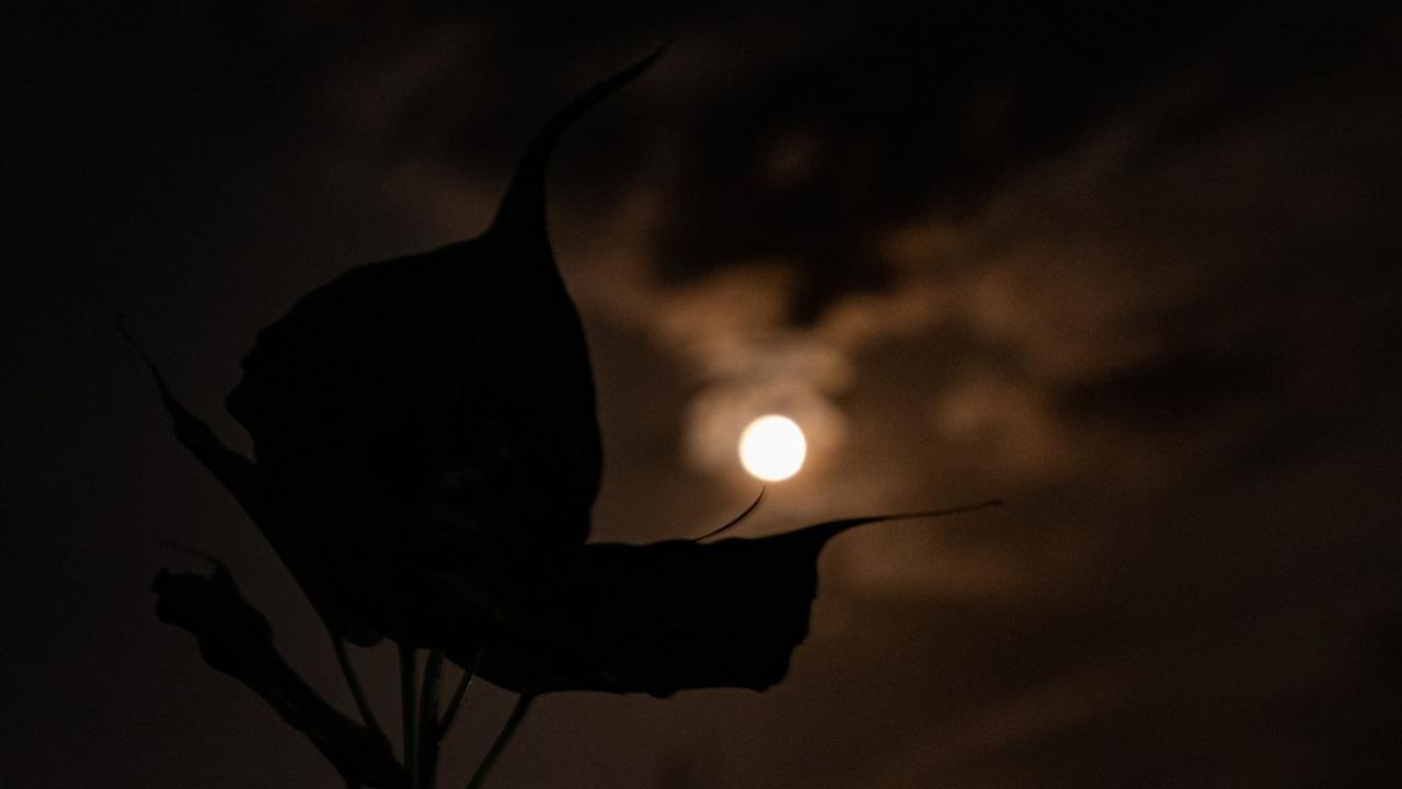 Partial lunar eclipse to be visible in India on May 26