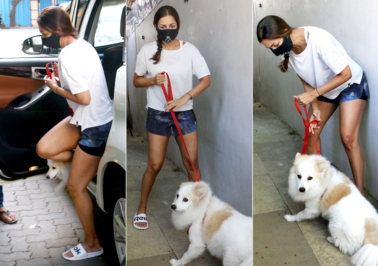 On Monday, Malaika Arora was spotted with her pet dog, Casper at a veterinary clinic in Bandra, Mumbai. The little one looked a little restless, perhaps it was the paparazzi that was bothering him, or maybe it was the weather!