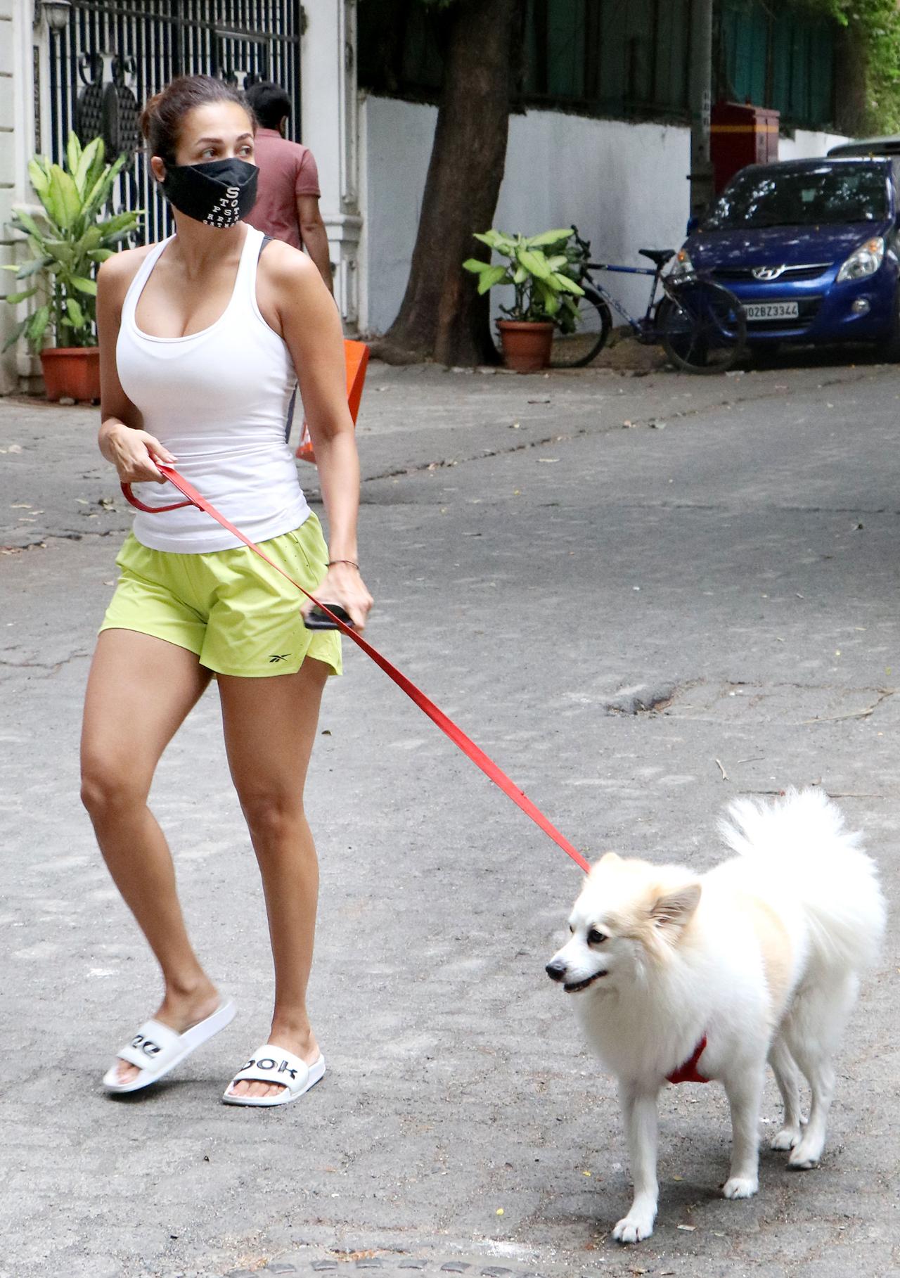 Malaika Arora was clicked on the streets of Bandra, as she stepped out of her house to take a stroll with her pooch. She was seen clad in a white tank top with yellow shorts and flats as she took her pet Casper for a walk. 