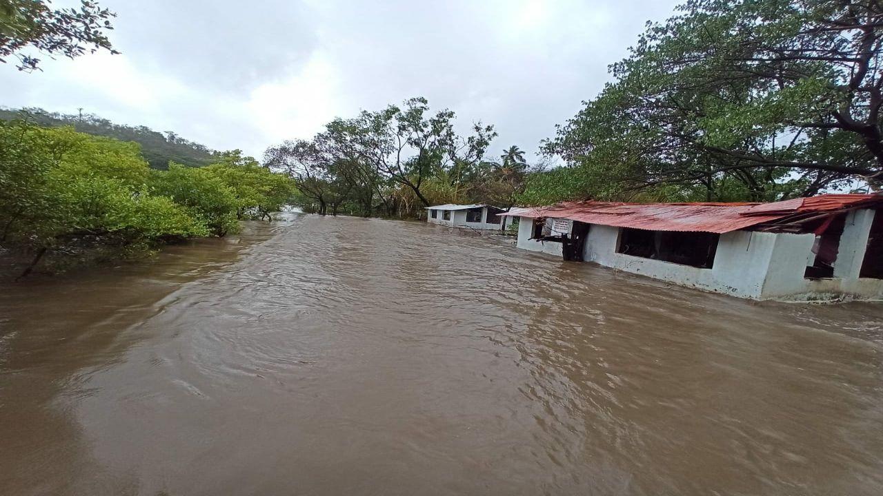 One dead, trees uprooted as cyclone Tauktae causes disruption in Goa