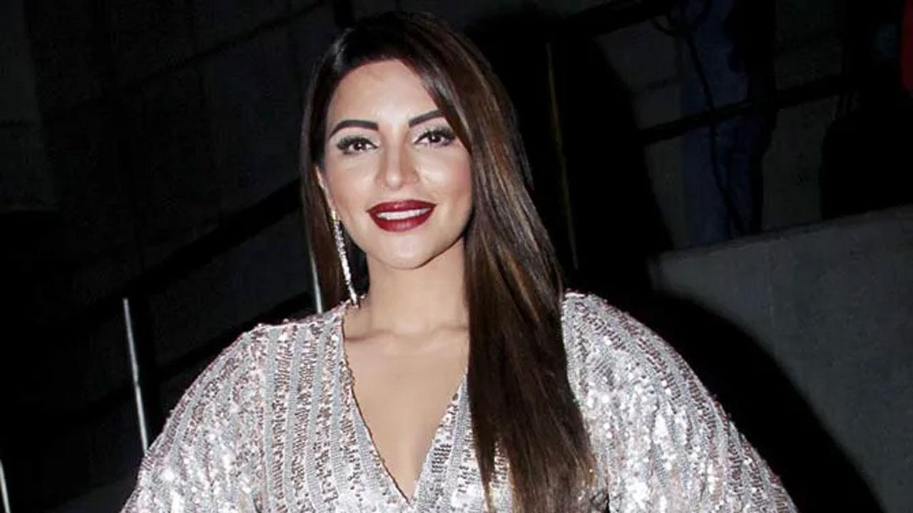 Shama Sikander is 'trying to help as many lives as possible' through virtual fundraiser