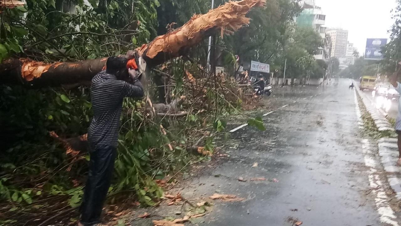 Cyclone Tauktae: Six die in Konkan region of Maharashtra