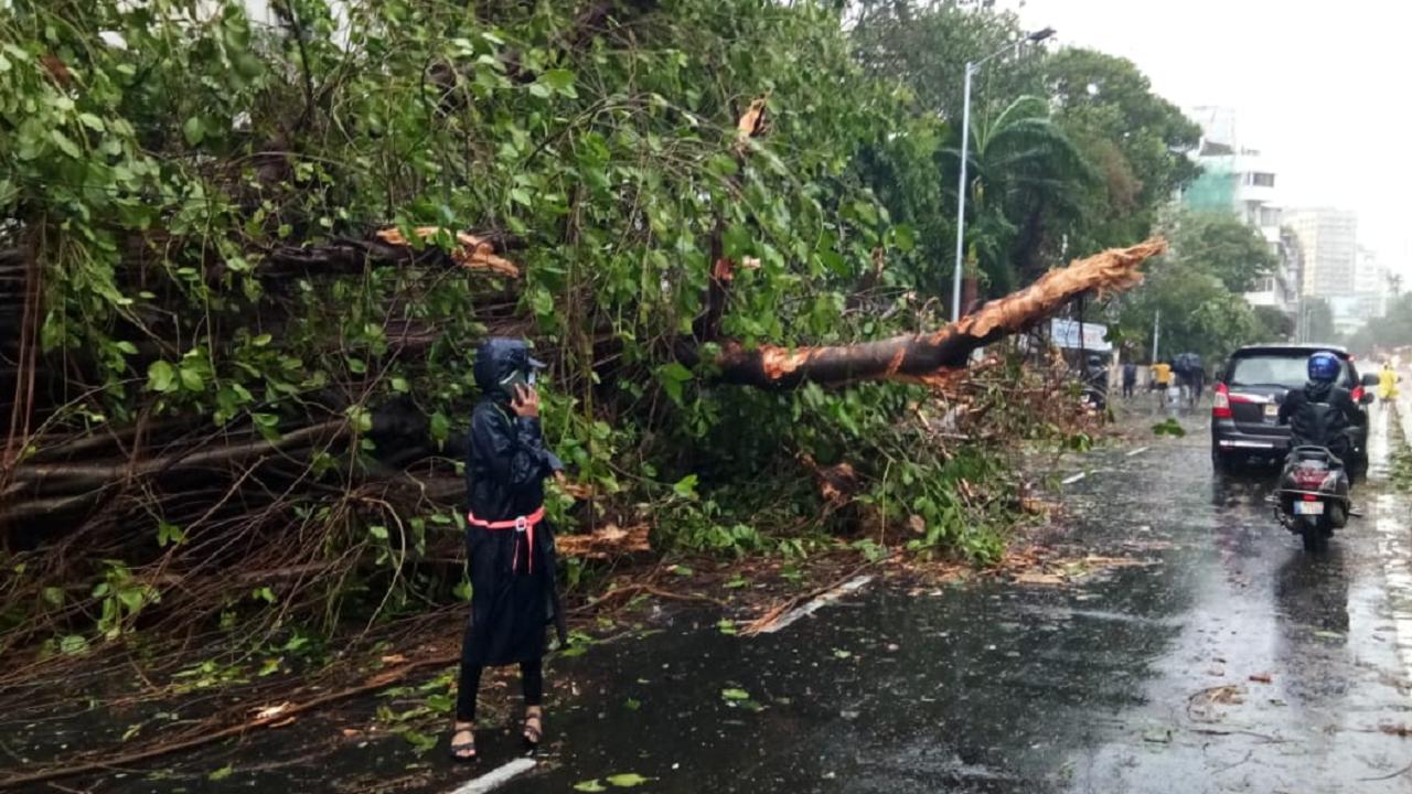 Cyclone fury leaves trail of destruction in Gujarat; 7 dead