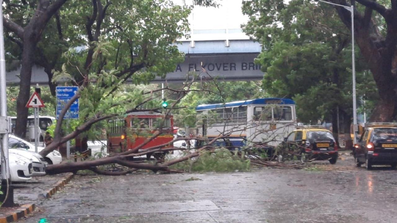 Cyclone Tauktae: Maharashtra CM Uddhav Thackeray reviews situation; over 12,000 people shifted