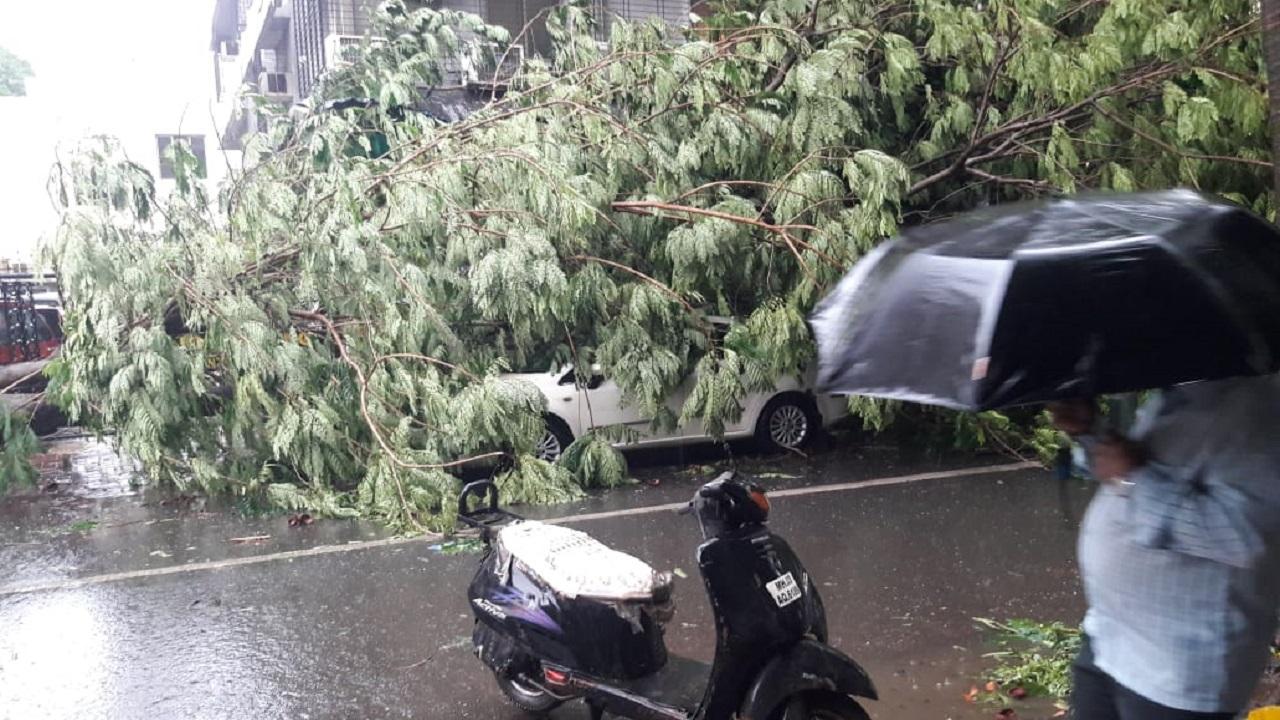 Tauktae intensifies into extremely severe cyclonic storm: IMD