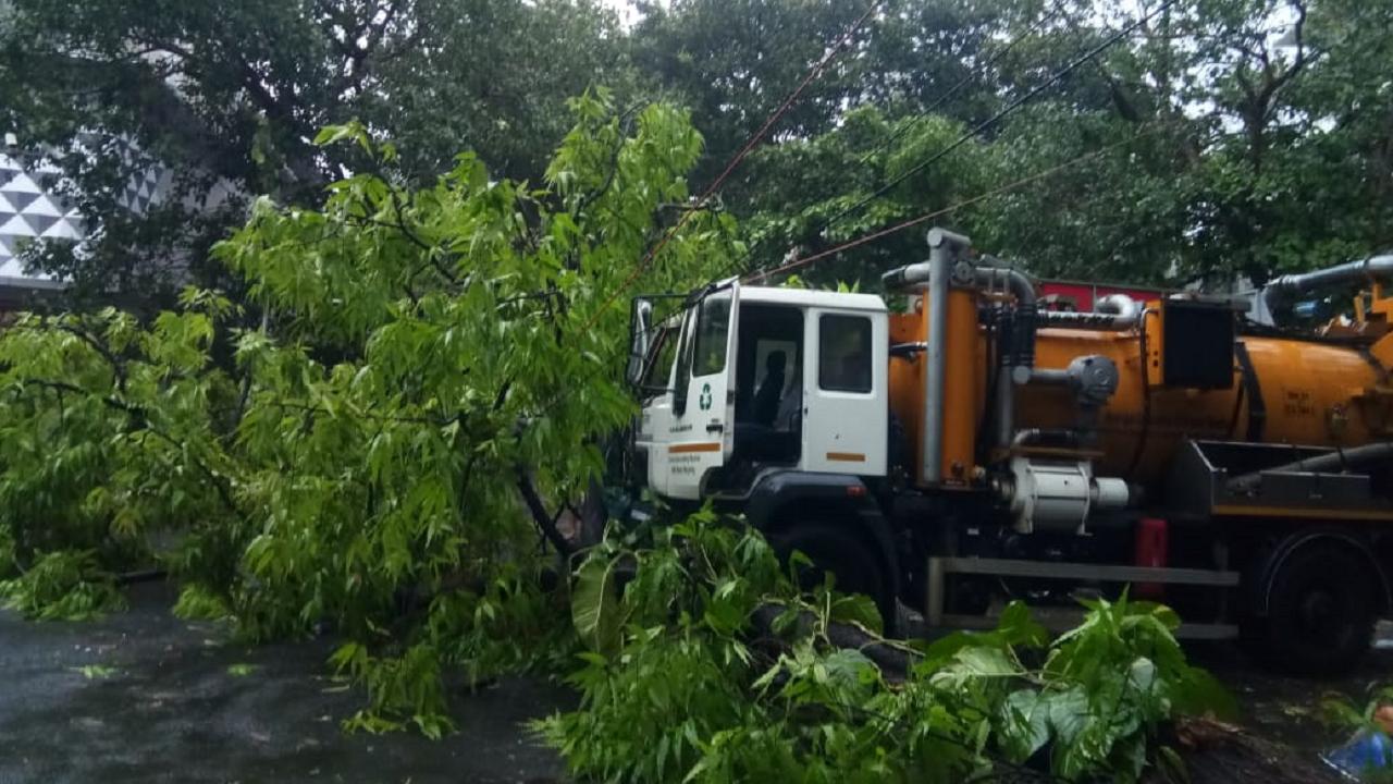 Cyclone Tauktae: 2 dead in Maharashtra's Konkan region