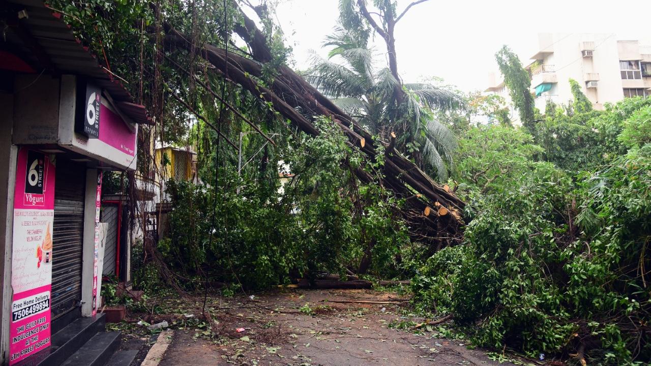 Cyclone Tauktae: Death toll in Gujarat goes up to 53