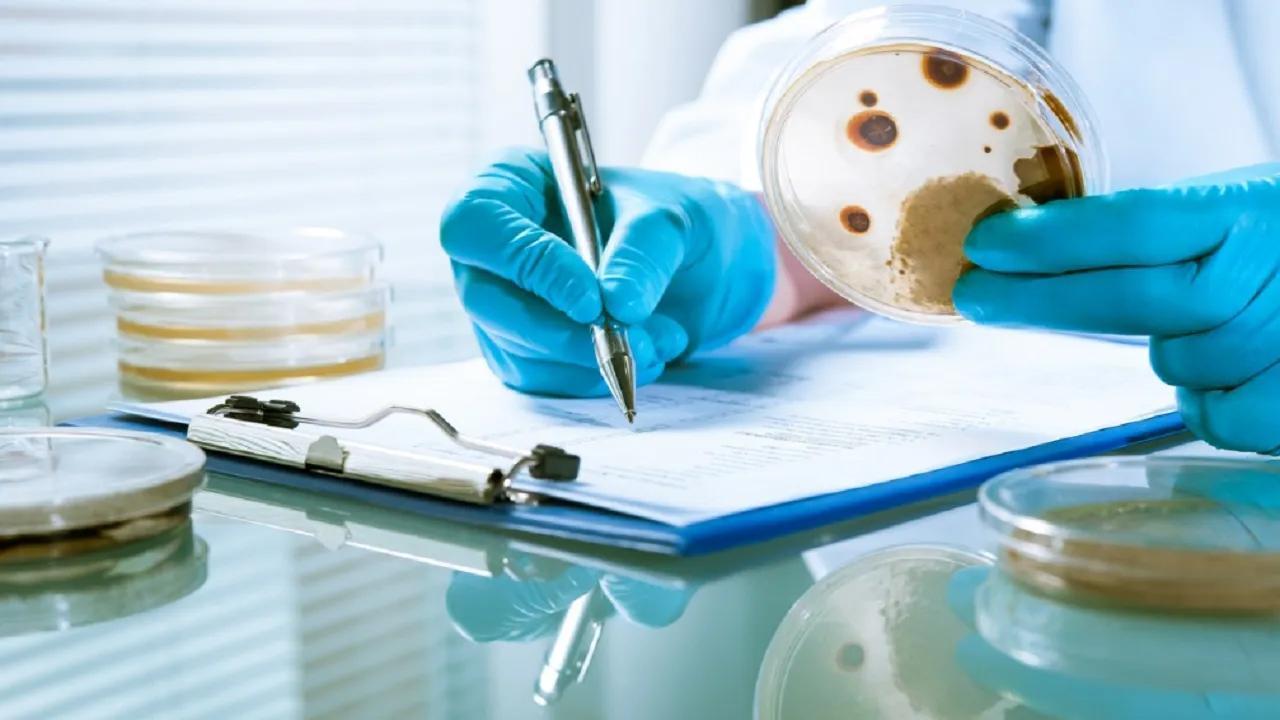 Delhi hospital reports ''first-ever'' white fungus case causing severe damage to entire intestine