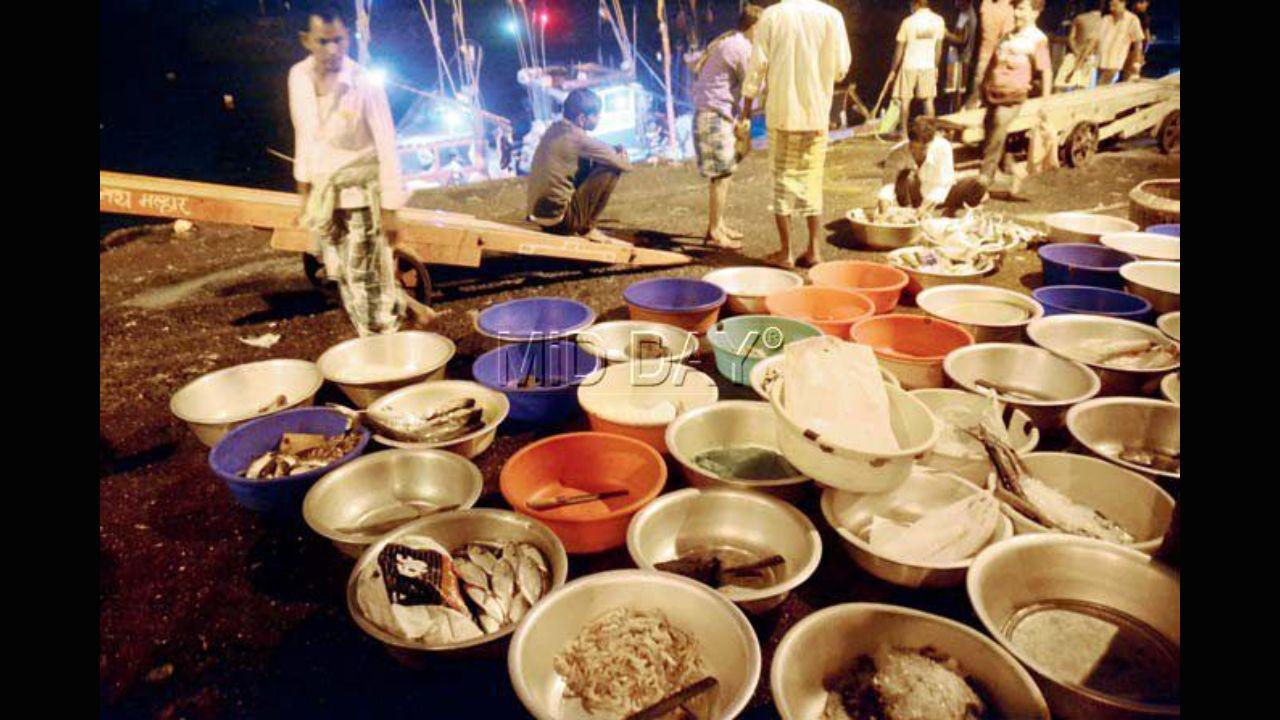 Fisherfolk wait to sell their fish at Sassoon Docks early on November 10 five years ago, two days after demonetisation was announced by Prime Minister Narendra Modi. Photo: Mid-day file pic/Bipin Kokate