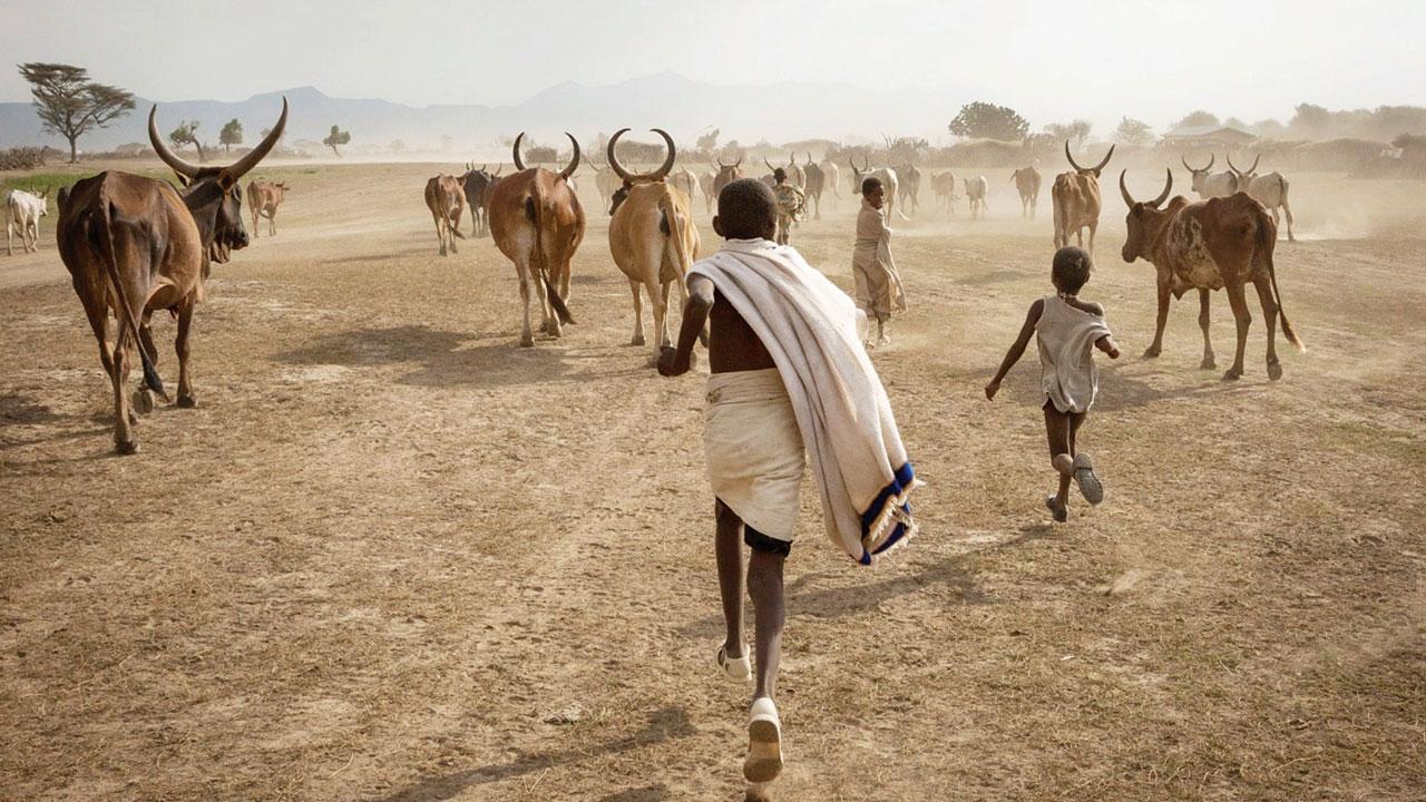 The world’s oldest tribe and HIV