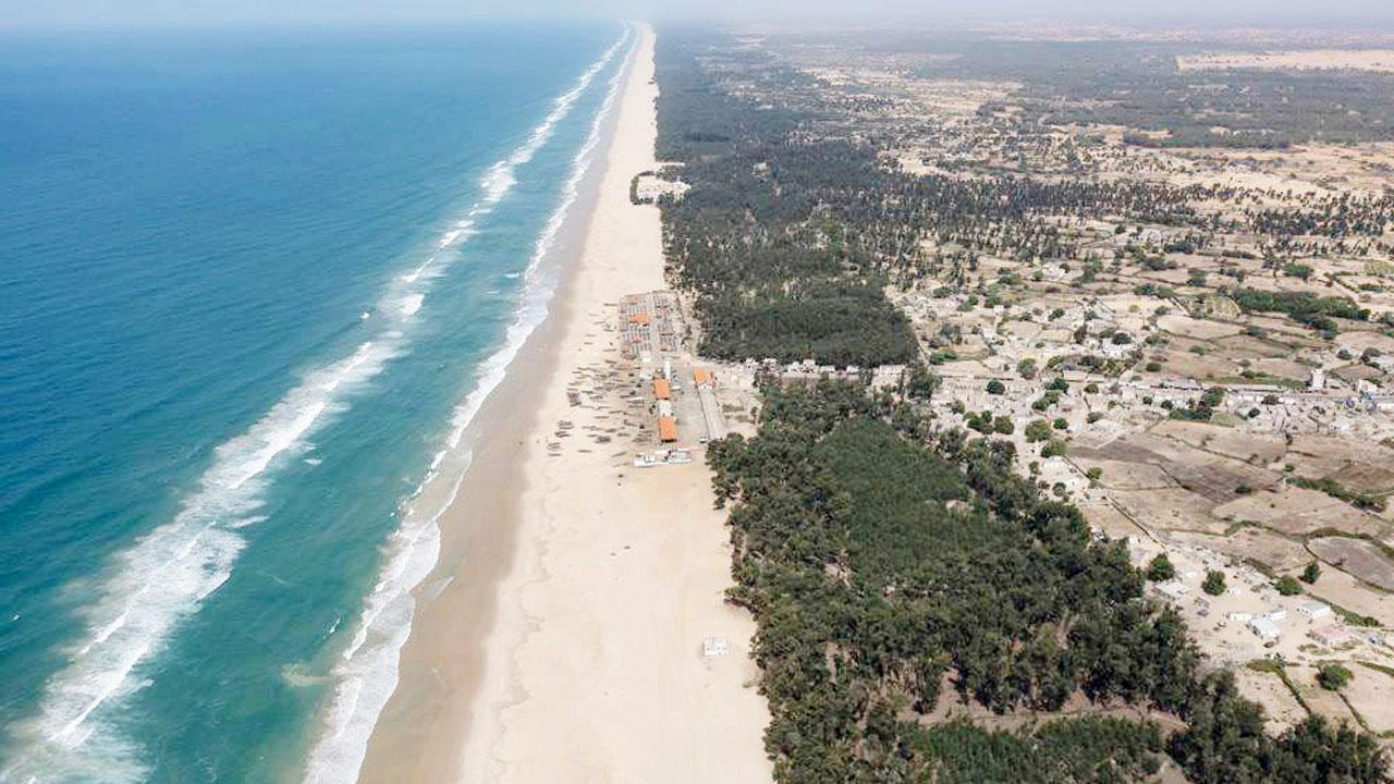 Africa’s ‘Great Green Wall’ to act as a natural barrier to hold off desert