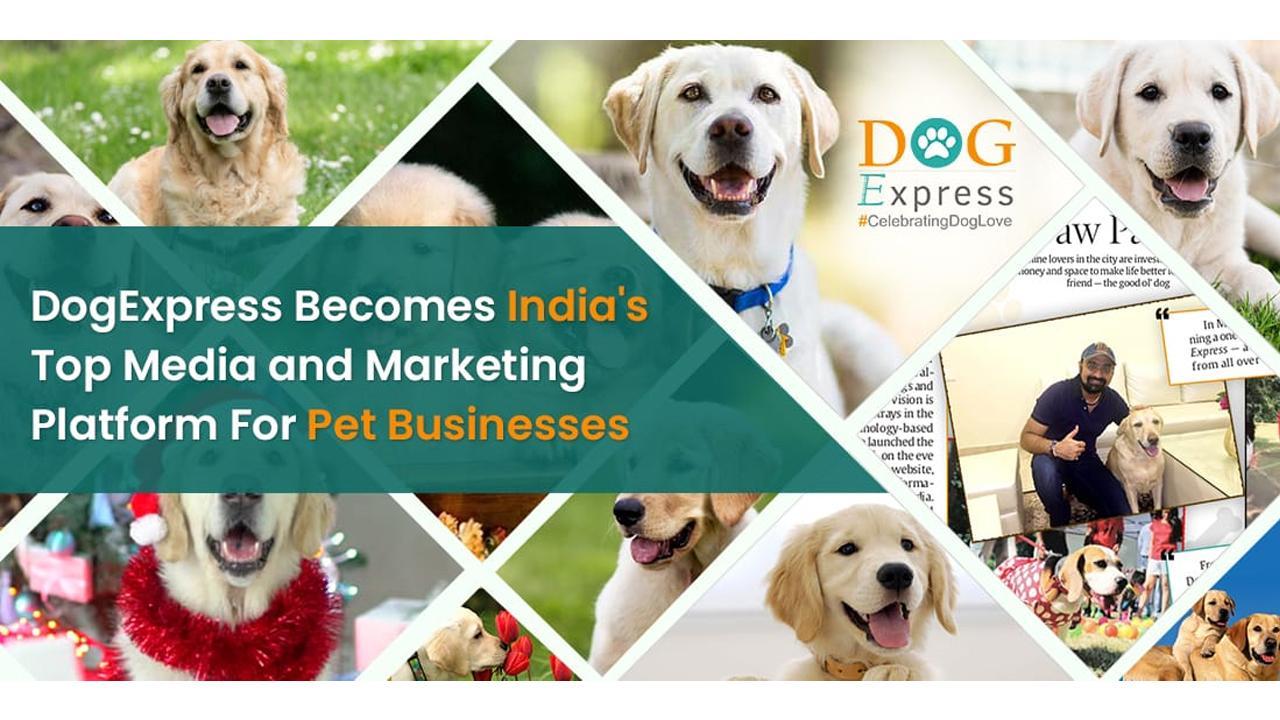 DogExpress emerges as Top Media and Marketing Platform for Pet Businesses - Technocharger
