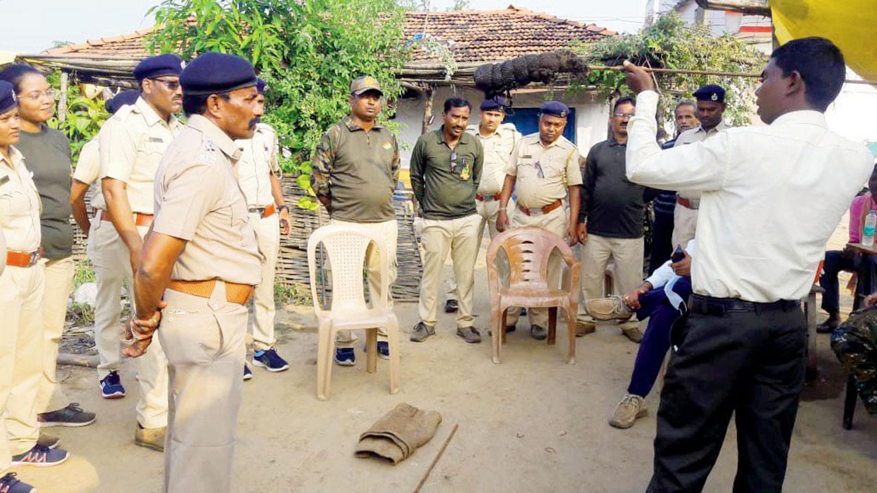 Maharashtra: Elephant herd settled in Gadchiroli starts moving, raises concerns of conflicts