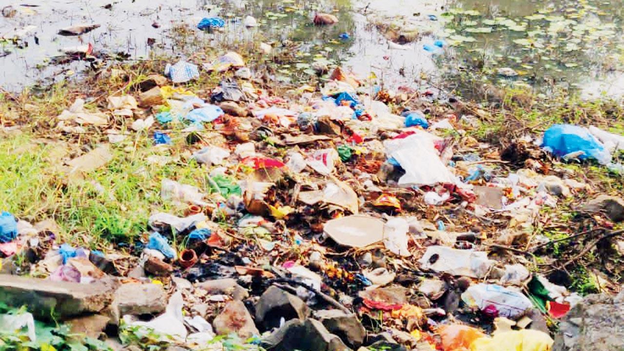 The NGO, in a report to the Aarey Milk Colony CEO and the environment minister, suggests clearing waste immediately