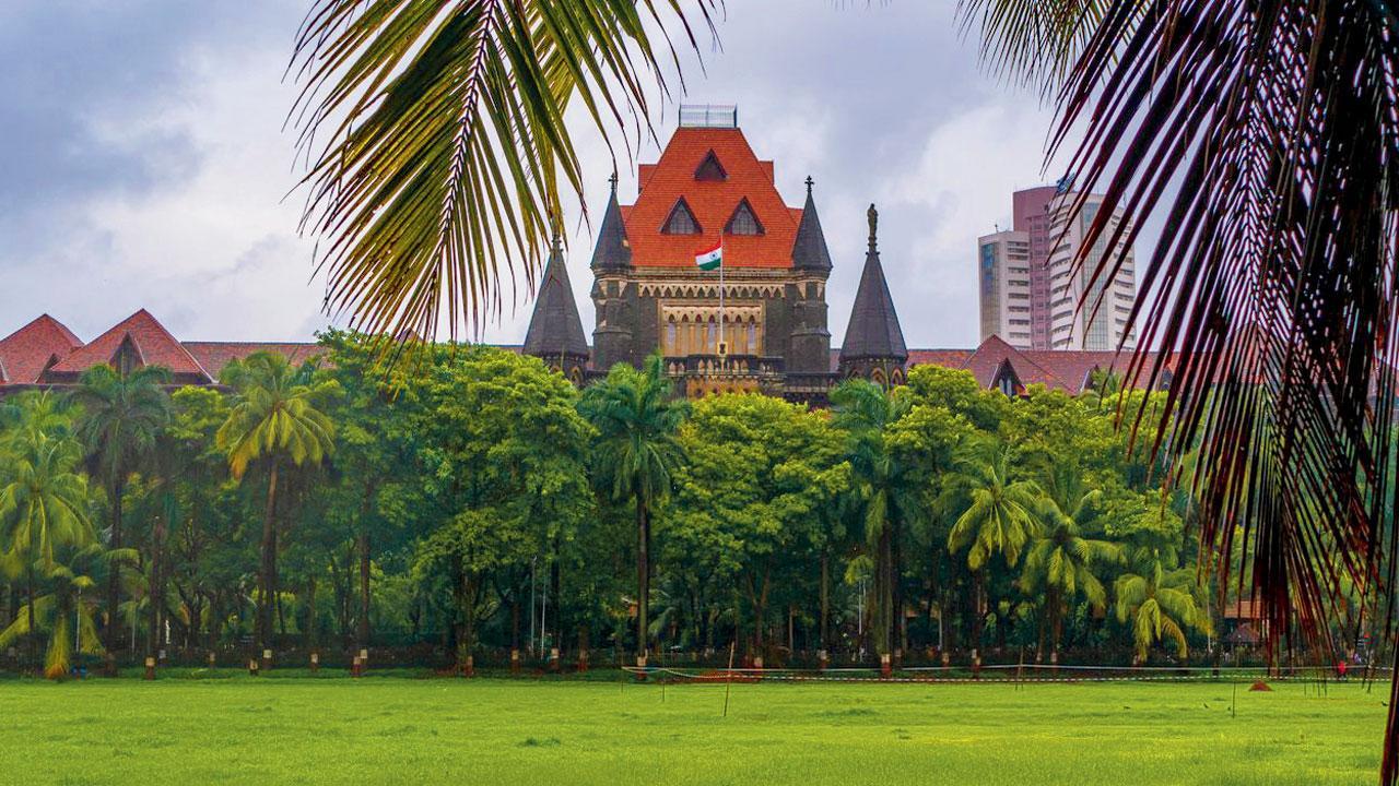 Bring clinching evidence in road rage, kidnapping case, says Bombay High Court