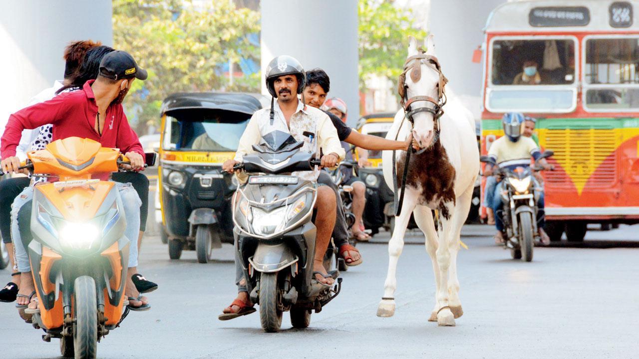 Mumbai Diary: Friday Dossier