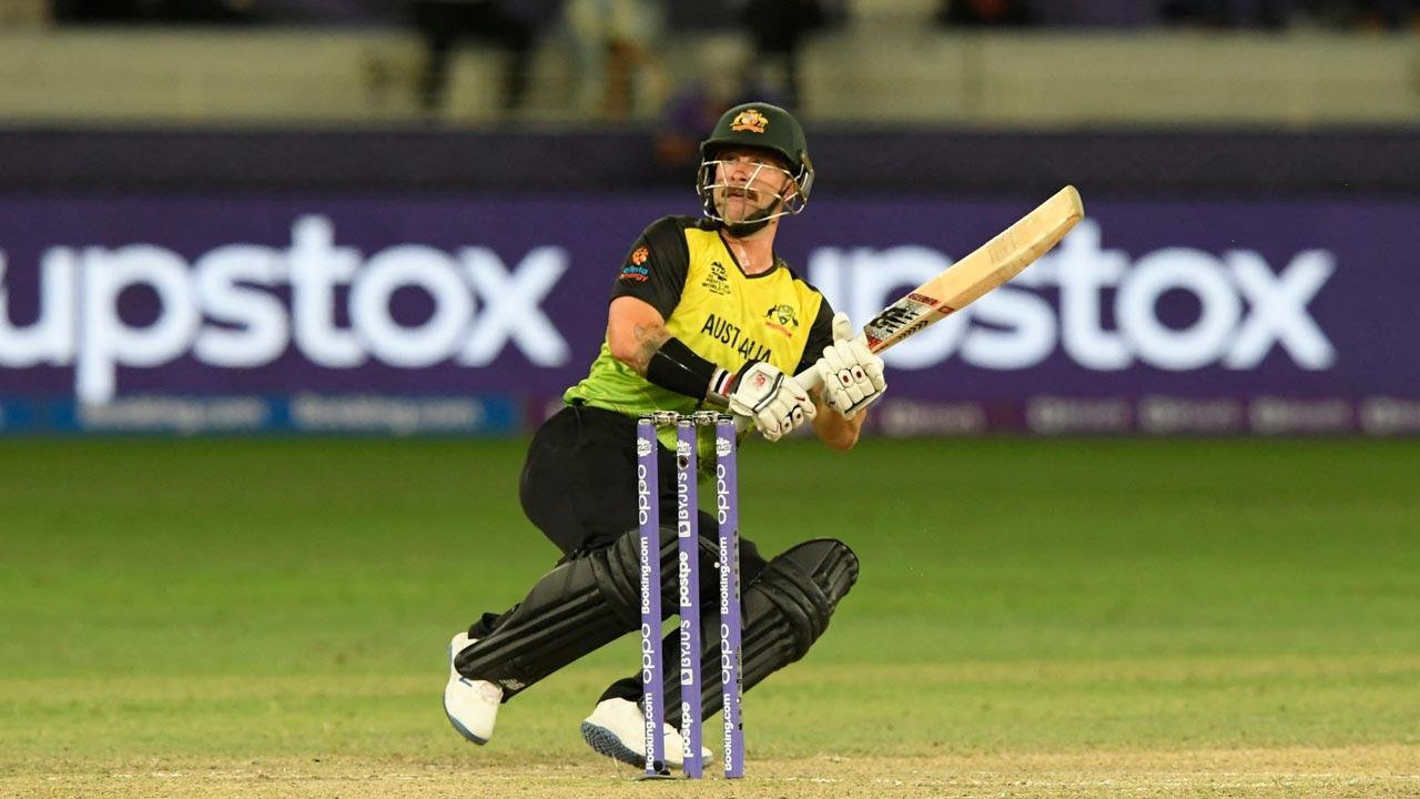 T20 World Cup: Happy to repay team's faith in me, says Matthew Wade
